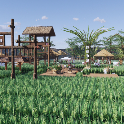 Modern Paddy Field Campground View