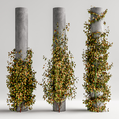 Modern Ivy Concrete Column