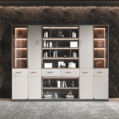 Modern Affordable Luxury Style Bookcase