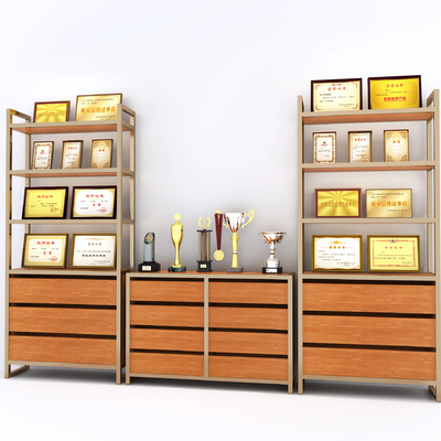 Modern Certificate of Merit, Trophy, Certificate of Honor, Display Cabinet