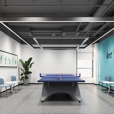 Modern table tennis room