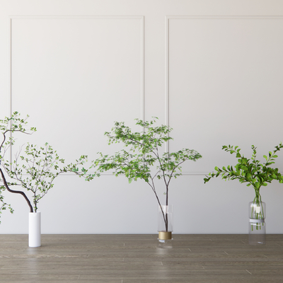 Modern hydroponic green plant vase