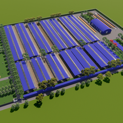 Bird's-eye view of modern cattle factory