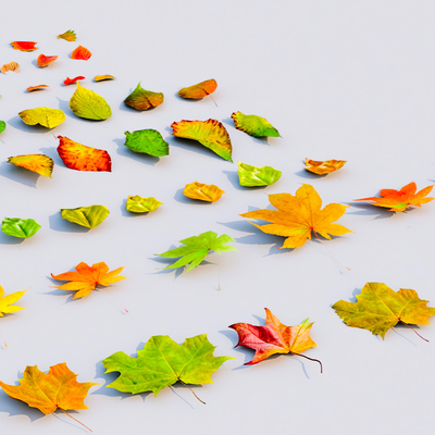 modern maple leaf red leaves