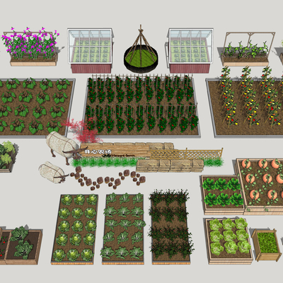 Modern Vegetable Garden