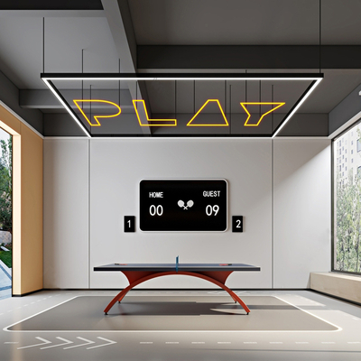 Modern Table Tennis Room