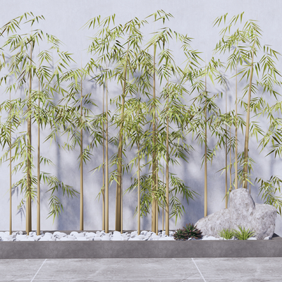 Modern landscape bamboo