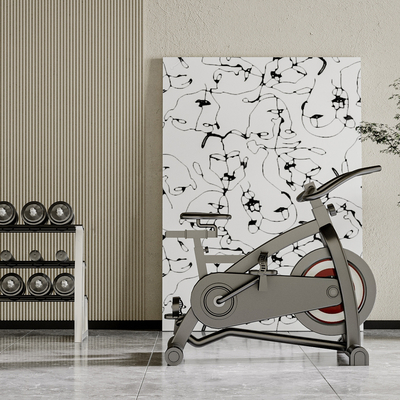 Modern Fitness Bicycle