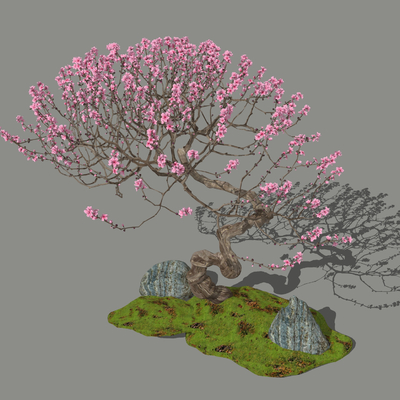 Neo-Chinese Style plum blossom tree rockery sketch