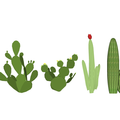 Modern Cactus