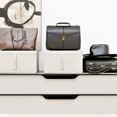 Modern Bags and Leather Bags