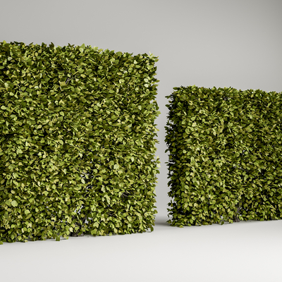 Modern plant partition plant wall