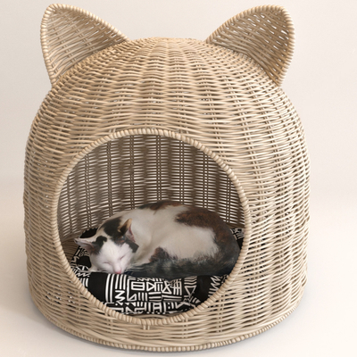 Modern Cat House Pet Cat