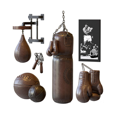 Modern boxing sandbag moving equipment