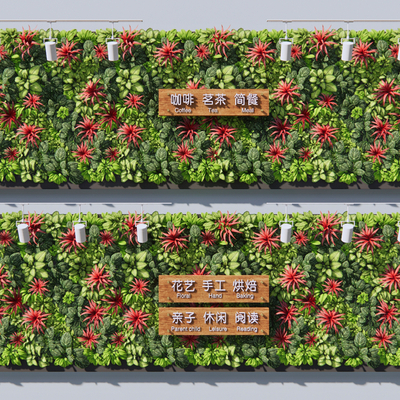 Modern Landscape Plant Wall