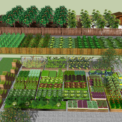 New Chinese Farm Picking Field Vegetable Farm Garden