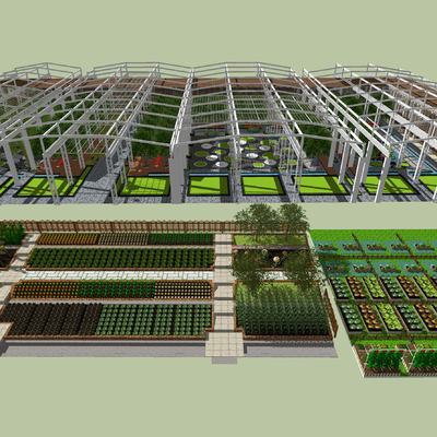 New Chinese Farm Picking Field Vegetable Farm Garden