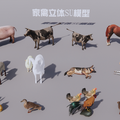 Chinese poultry and livestock