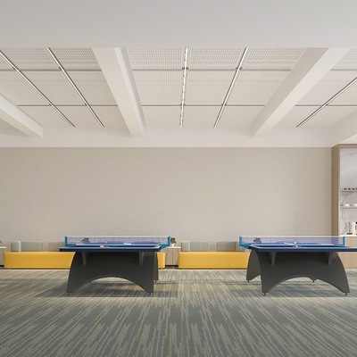 modern sports table tennis room