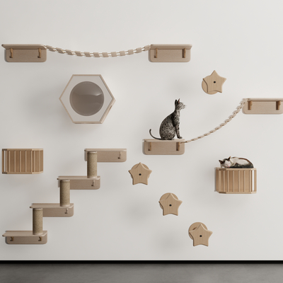 Modern Cat Climbing Rack Cat Rack Cat Nest