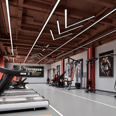 Modern Gym Fitness Equipment