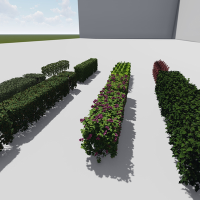 modern hedge