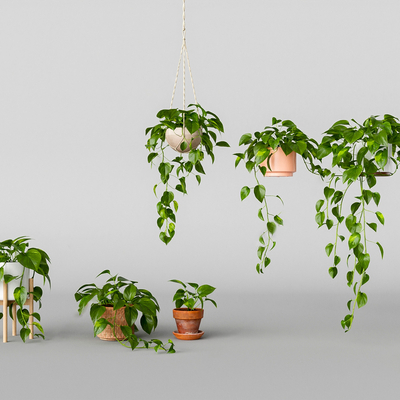 Modern Green Pot Hanging Basket