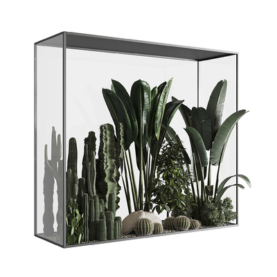 Cactus glass green plant landscape box