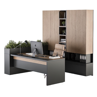 Modern Office Desk Taipan Table