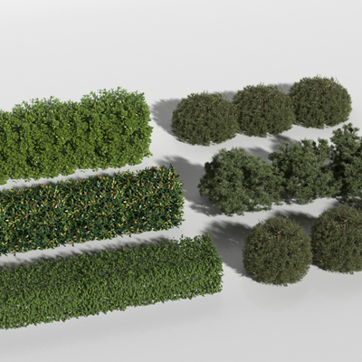 modern hedge