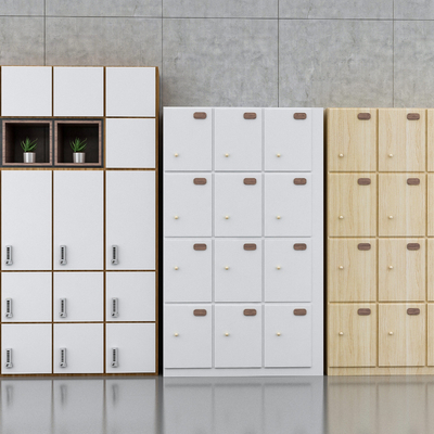 Public Lockers in Modern Shopping Mall