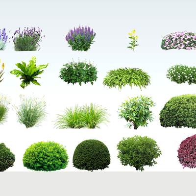 Modern 2D Landscape Shrub Ball