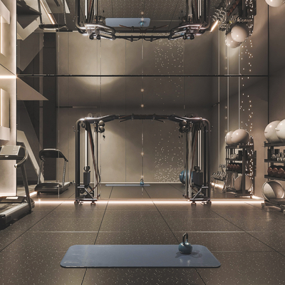 Modern Home Gym