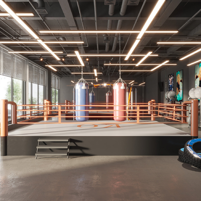 Modern boxing ring gym