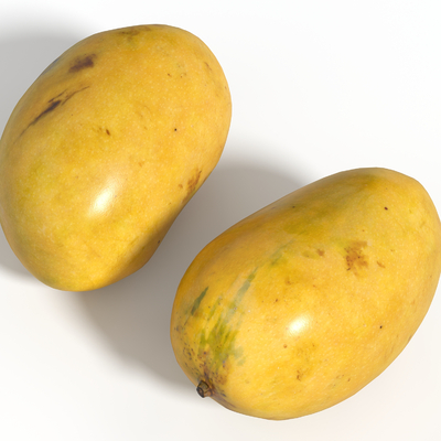 Mango fruit