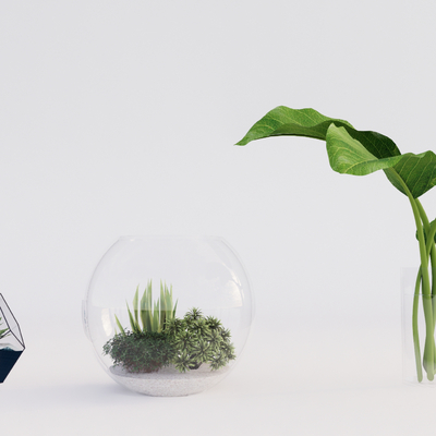 Modern hydroponic plant glass vase