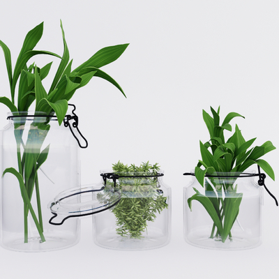 Modern hydroponic plant vase