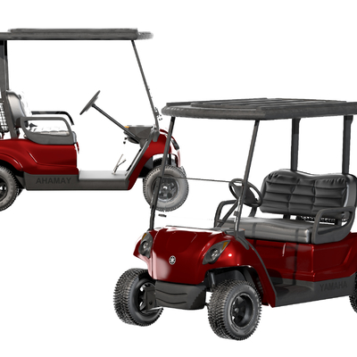 Golf Cart Sightseeing Car