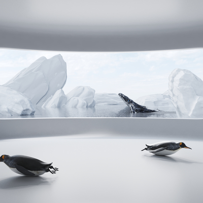 Modern glacier iceberg penguin whale