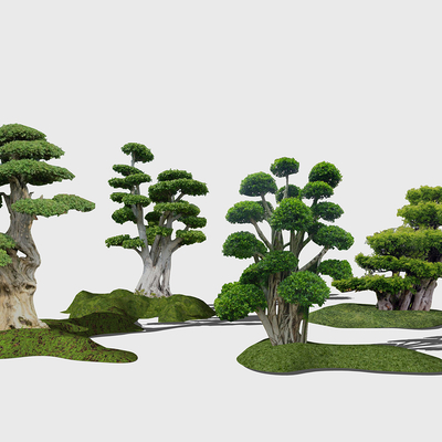 modern landscape tree 2d component