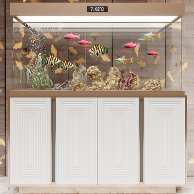 Modern Affordable Luxury Style Fish Tank