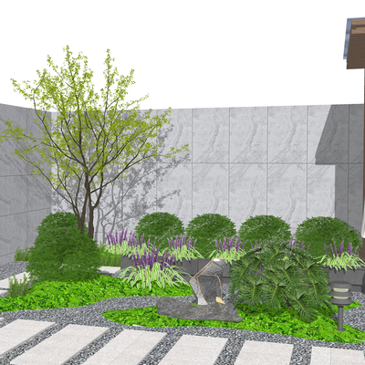 Modern courtyard shrub sketch