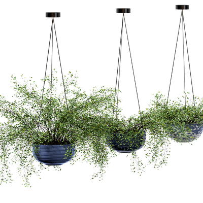 Green Plant Pot Hanging Basket