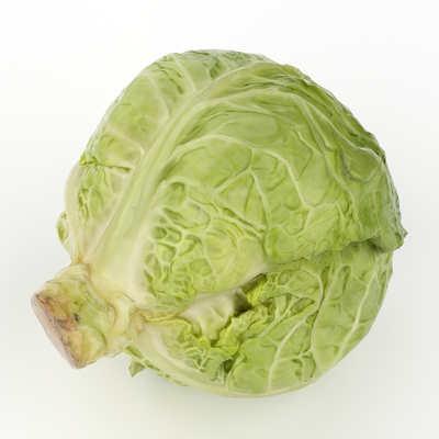 cabbage cabbage