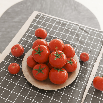 Modern tomatoes