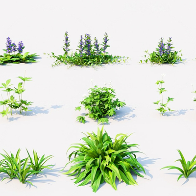 flowers and green plants