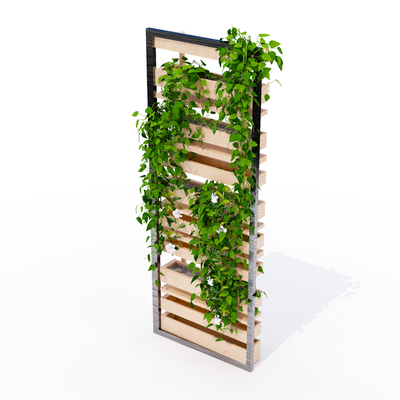 Vine Green Plant Climbing Frame Plant Wall