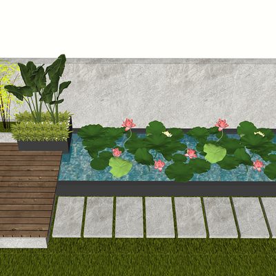 Aquatic Lotus Landscape in Modern Courtyard