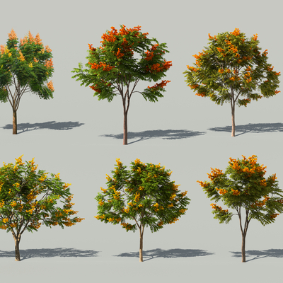 Koeluan Tree 2D Component