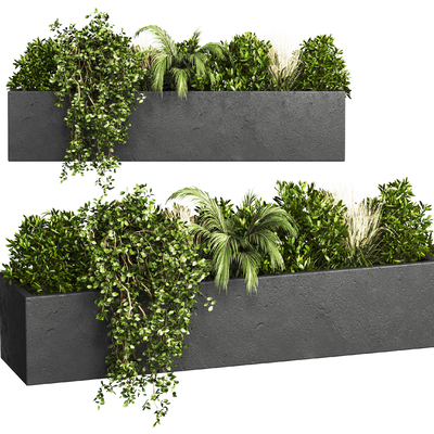 Greenery flowerbed bushes